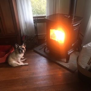 Meet your Posher, Kristen